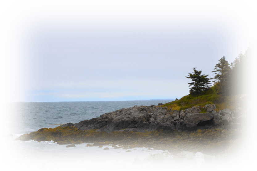 The Irish Immigrant Story