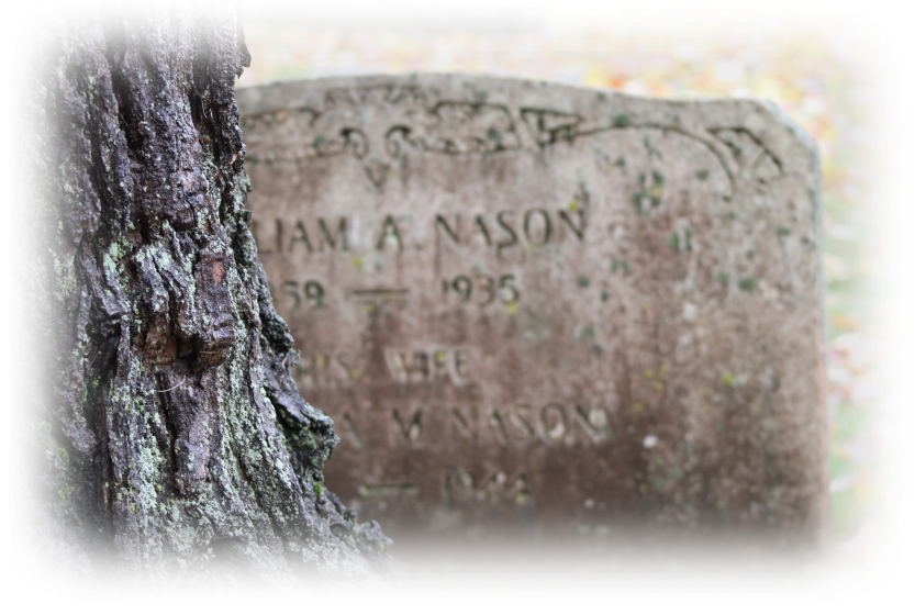 Reincarnation, Rebirth, and Redemption